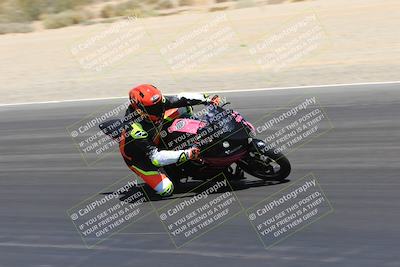 media/May-14-2023-SoCal Trackdays (Sun) [[024eb53b40]]/Turn 3 Inside (12pm)/